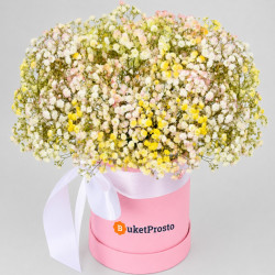 Композиция из 9 разноцветных гипсофил